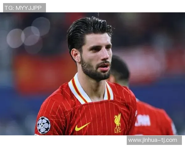 索博斯洛伊的魅力探秘与文化传承之旅